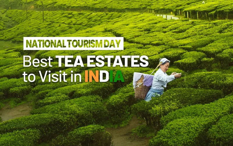 Image Darjeeling - Himalayan Hills and Tea image beautiful image beautiful image beautiful image beautiful image beautiful image beautiful image beautiful - 10 Best Tea Plantations to Visit in India You can Visit – Golden Tips