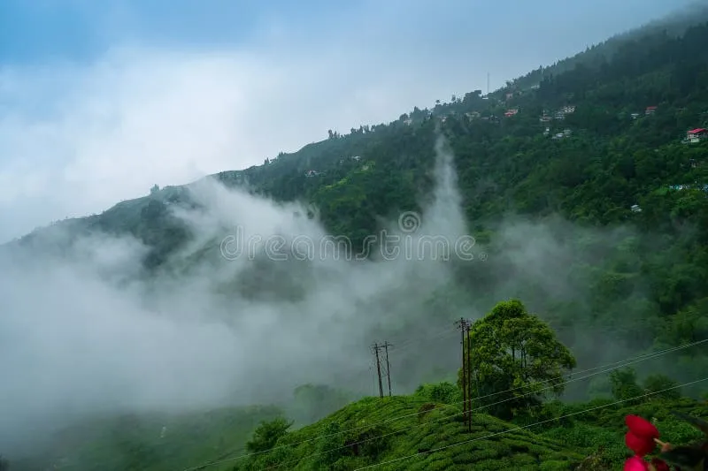 Image Darjeeling - Himalayan Hills and Tea image beautiful image beautiful image beautiful image beautiful image beautiful image beautiful image beautiful - 1,685 Himalayan Mountains Fog Stock Photos - Free & Royalty-Free ...