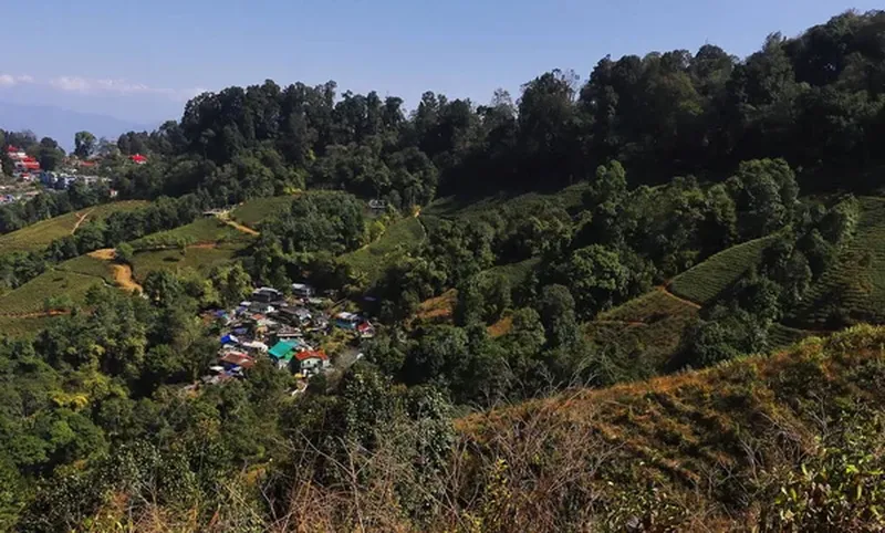 Image Darjeeling - Himalayan Hills and Tea image beautiful image beautiful image beautiful image beautiful image beautiful image beautiful image beautiful image beautiful - Tourism nepal Stock Photos, Royalty Free Tourism nepal Images ...