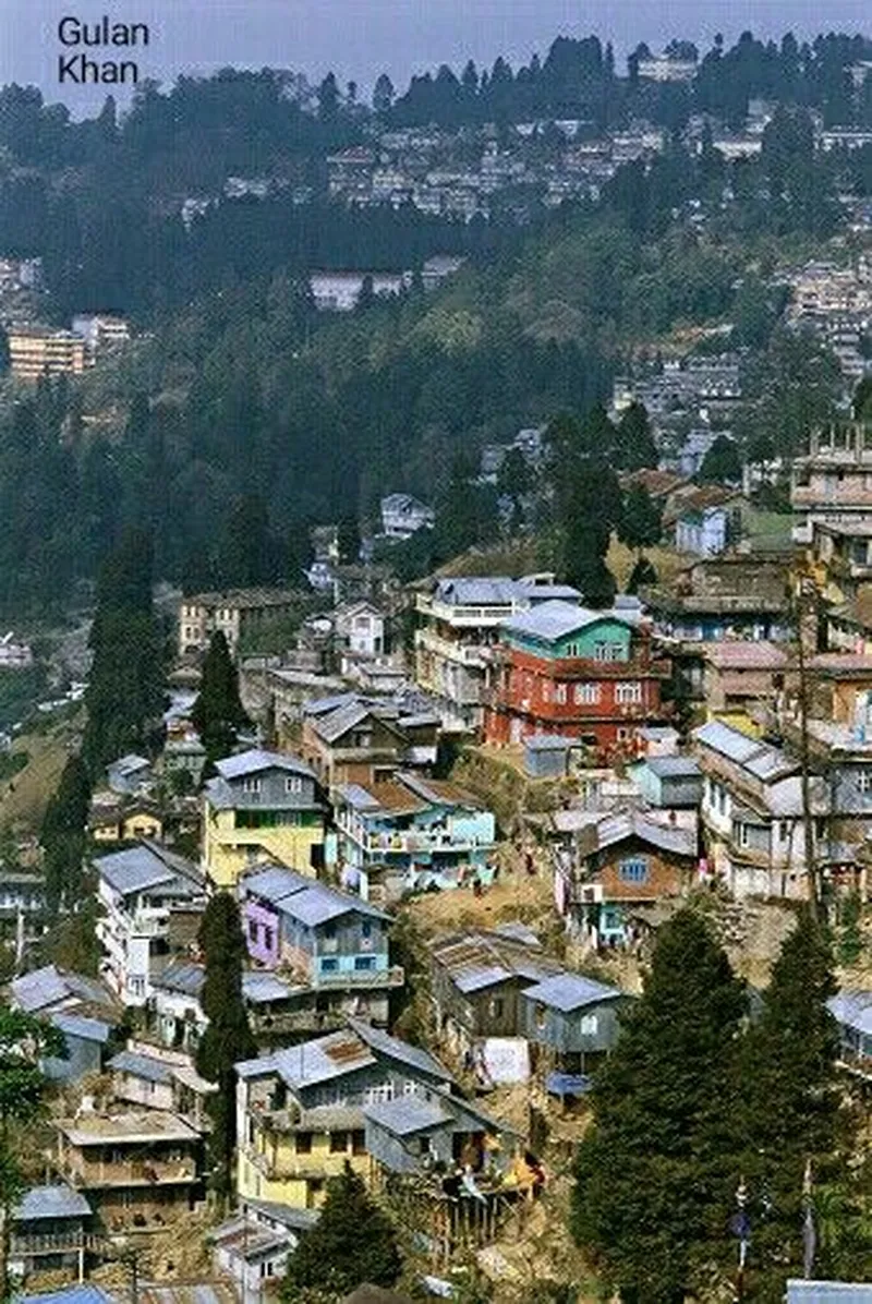 Image Darjeeling - Himalayan Hills and Tea image beautiful image beautiful image beautiful image beautiful image beautiful image beautiful image beautiful image beautiful image beautiful - Pin page