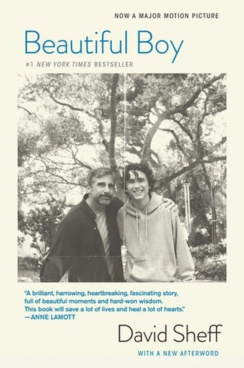 Image David image beautiful image beautiful - Book Review: 'Beautiful Boy' by David Sheff – Jeffrey Reads