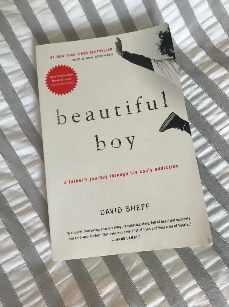 Image David image beautiful image beautiful image beautiful - Book Review: Beautiful Boy – Peaches to Apples