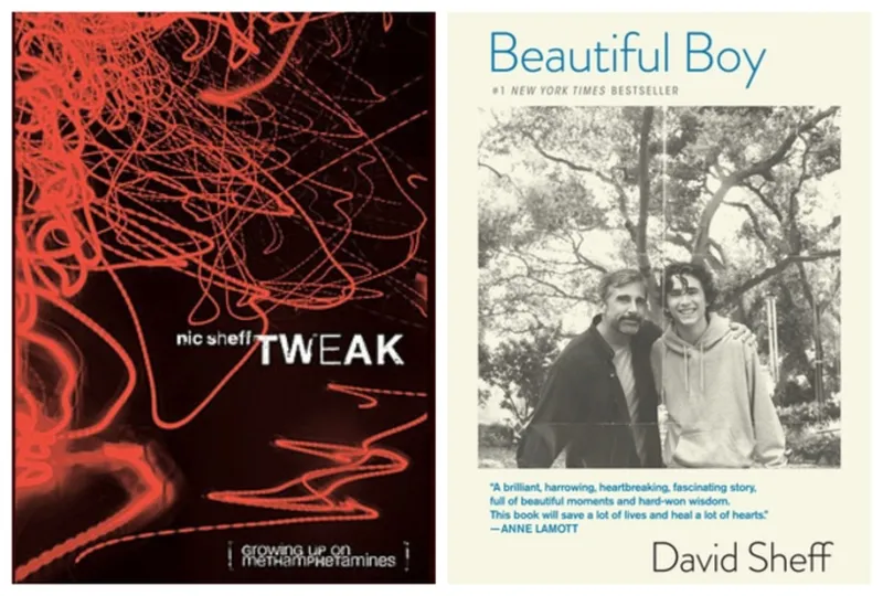 Image David image beautiful image beautiful image beautiful image beautiful - The Books behind the Movie: Beautiful Boy – Tejas Rao