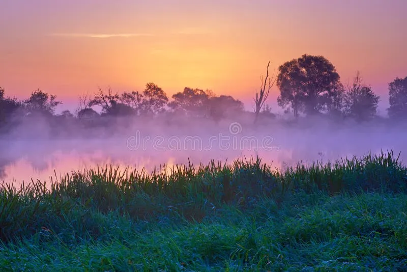 Image Dawn image beautiful image beautiful - 700,996 Beautiful Dawn Stock Photos - Free & Royalty-Free Stock ...