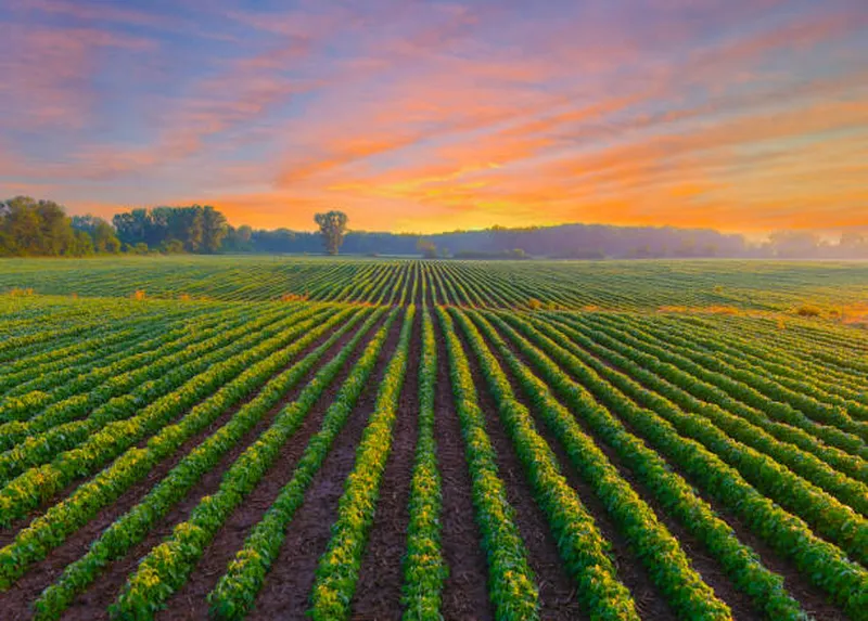 Image Dawn image beautiful image beautiful image beautiful image beautiful - 1,362,800+ Beautiful Farmland Stock Photos, Pictures & Royalty ...