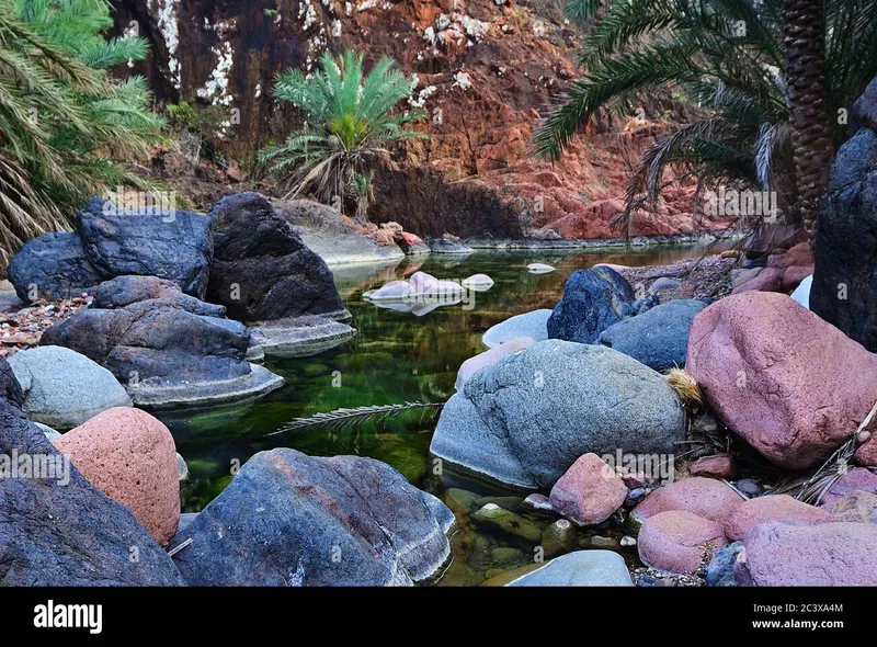 Image Dawn image beautiful image beautiful image beautiful image beautiful image beautiful - Yemen. Most beautiful canyon on Socotra island Wadi Dirhur ...