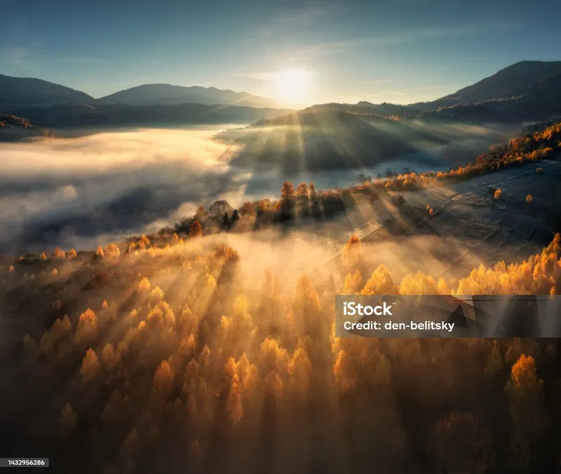 Image Dawn image beautiful image beautiful image beautiful image beautiful image beautiful image beautiful image beautiful - Aerial View Of Beautiful Orange Trees On The Hill And Mountains In ...