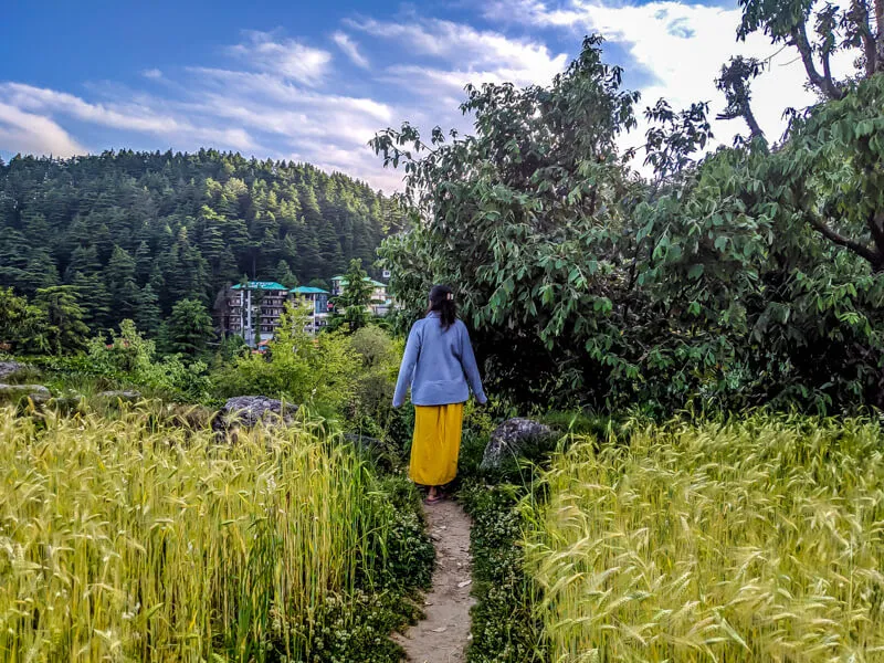 Image Dharamshala - Home of Dalai Lama image beautiful image beautiful image beautiful image beautiful - My Adventures in the Village of BhagsuNag, Dharamshala (Himachal ...