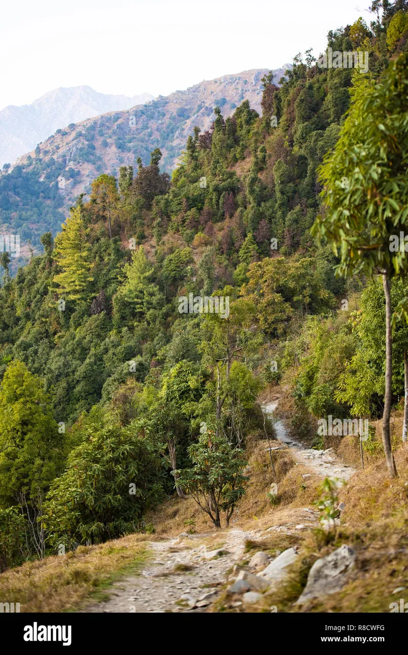 Image Dharamshala - Home of Dalai Lama image beautiful image beautiful image beautiful image beautiful image beautiful image beautiful - Dharamsala india scenic mountain hi-res stock photography and ...