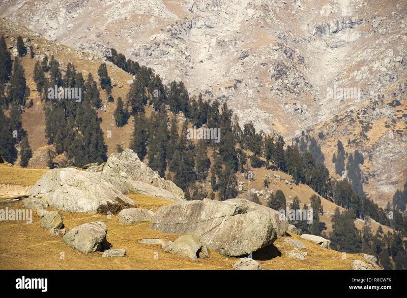 Image Dharamshala - Home of Dalai Lama image beautiful image beautiful image beautiful image beautiful image beautiful image beautiful image beautiful - Dharamsala hi-res stock photography and images - Page 4 - Alamy