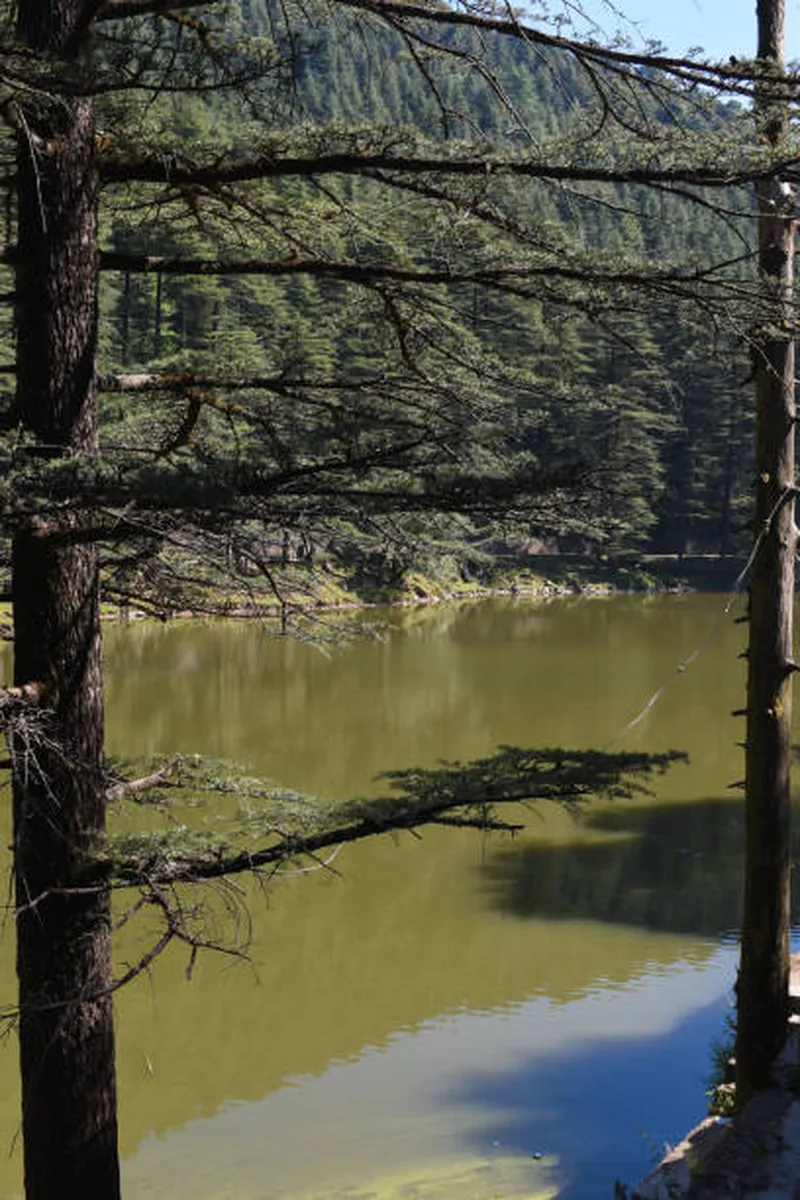 Image Dharamshala - Home of Dalai Lama image beautiful image beautiful image beautiful image beautiful image beautiful image beautiful image beautiful image beautiful image beautiful - 1,600+ Dharamsala Stock Photos, Pictures & Royalty-Free Images ...