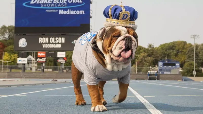 Image Drake image beautiful image beautiful - Registration Deadline Nears for 42nd Annual Beautiful Bulldog ...