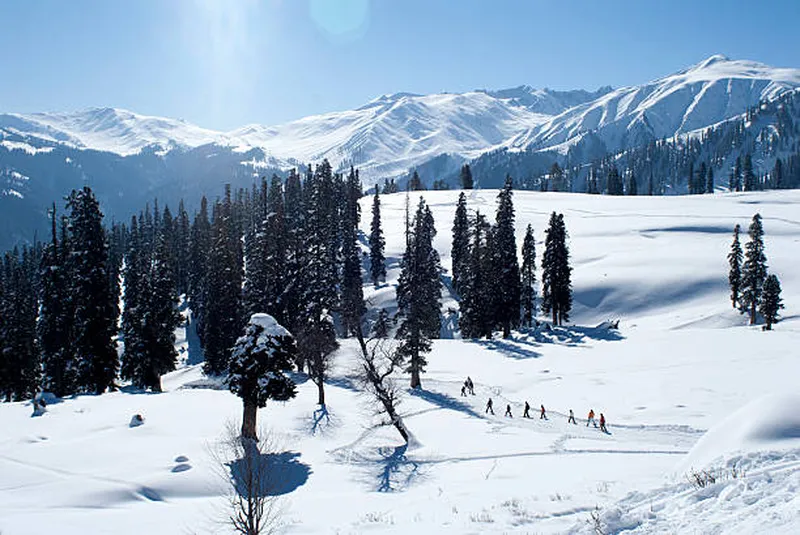 Image Gulmarg - Ski Resort image beautiful image beautiful - 190+ Cedar Glen Snow Sports Stock Photos, Pictures & Royalty-Free ...