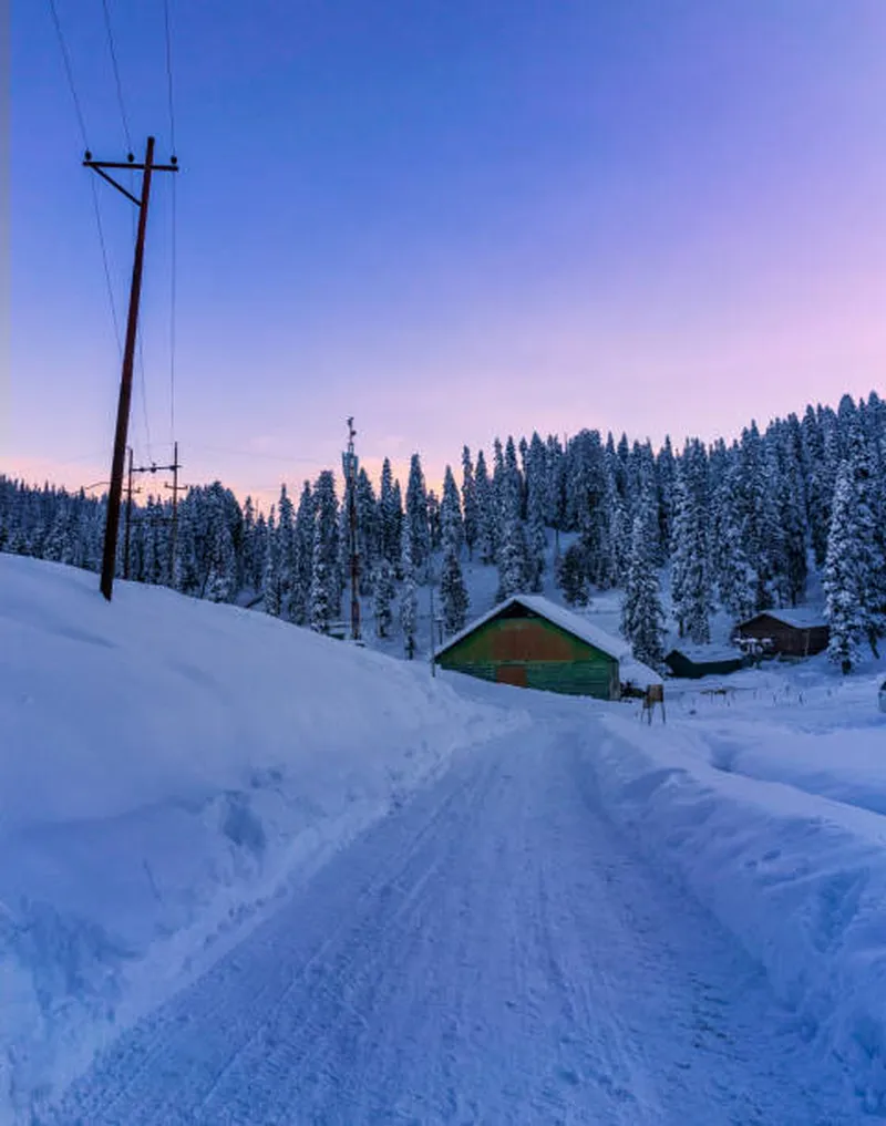 Image Gulmarg - Ski Resort image beautiful image beautiful image beautiful image beautiful - Beautiful Scenery Of Snowy Pine Trees With Sunset At Background ...