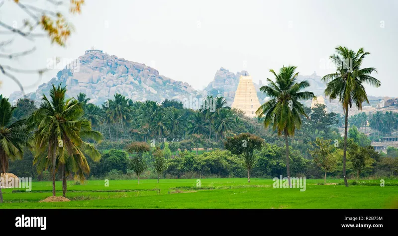 Image Hampi - Virupaksha Temple image beautiful image beautiful - Virupaksha temple surrounded by green rice fields and beautiful ...