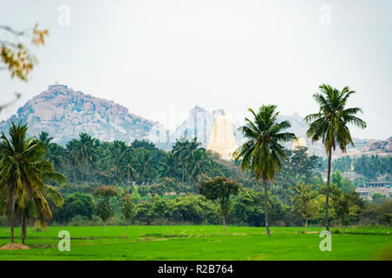 Image Hampi - Virupaksha Temple image beautiful image beautiful image beautiful - Virupaksha temple surrounded by green rice fields and beautiful ...