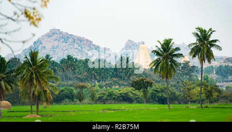 Image Hampi - Virupaksha Temple image beautiful image beautiful image beautiful image beautiful image beautiful - Virupaksha temple surrounded by green rice fields and beautiful ...