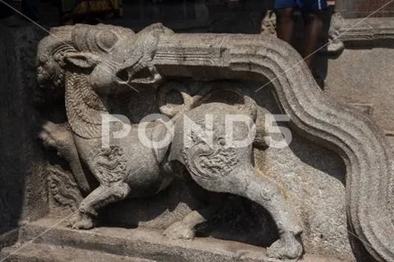 Image Hampi - Virupaksha Temple image beautiful image beautiful image beautiful image beautiful image beautiful - Beautiful sculpture in the Virupaksha Temple complex in Hampi ...