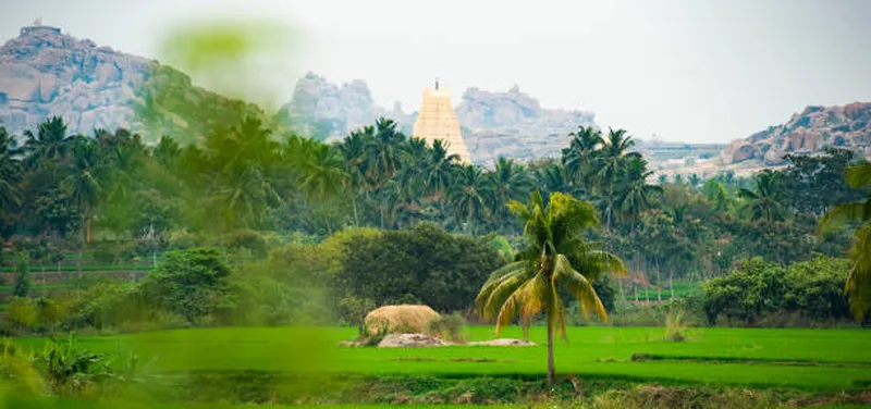 Image Hampi - Virupaksha Temple image beautiful image beautiful image beautiful image beautiful image beautiful image beautiful - 80+ Impressive Virupaksha Temple Stock Photos, Pictures & Royalty ...