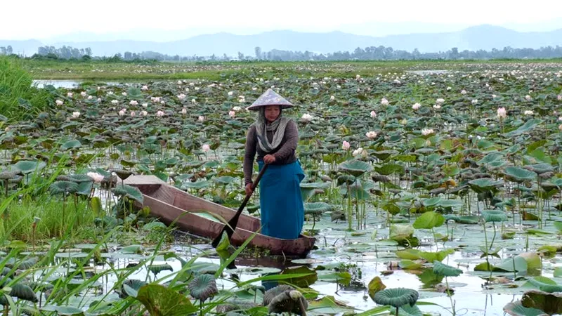 Image Imphal - Loktak Lake image beautiful image beautiful image beautiful - 49,938 Beautiful Indian Stock Videos, Footage, & 4K Video Clips ...