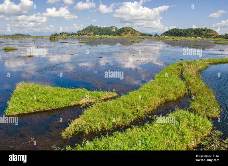 Image Imphal - Loktak Lake image beautiful image beautiful image beautiful - green landscape and beautiful nature over loktak lake manipur ...