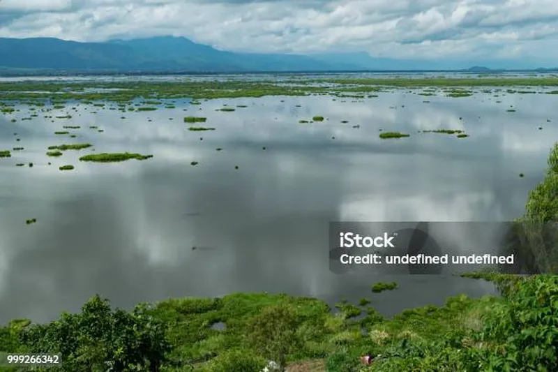 Image Imphal - Loktak Lake image beautiful image beautiful image beautiful image beautiful - Big Lake In The Distance Mountains Of Water Lilies Sri Lanka Stock ...