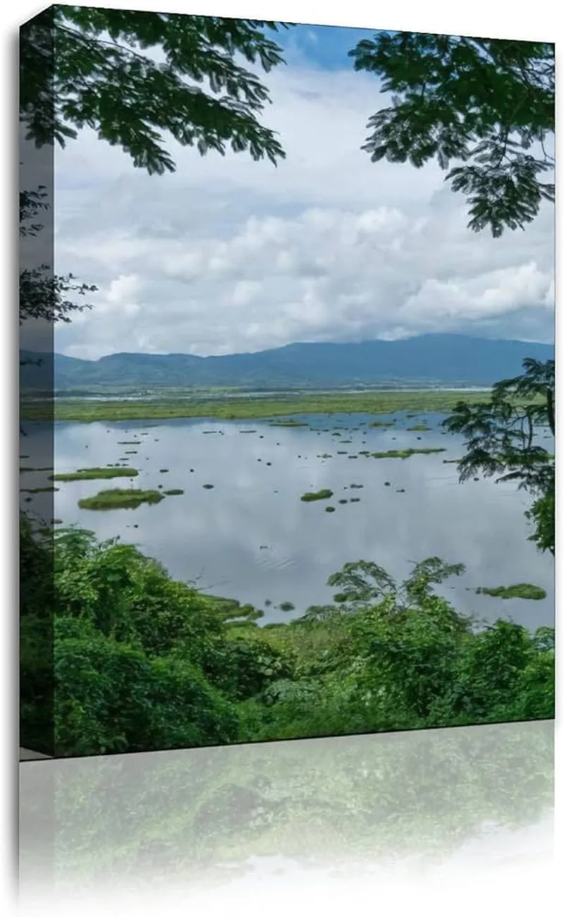 Image Imphal - Loktak Lake image beautiful image beautiful image beautiful image beautiful image beautiful - Amazon.com: Canvas Wall Poster Artwork Picture Beautiful Loktak ...