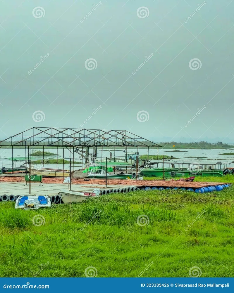 Image Imphal - Loktak Lake image beautiful image beautiful image beautiful image beautiful image beautiful - 2,679 Lake Agriculture India Stock Photos - Free & Royalty-Free ...