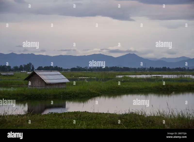 Image Imphal - Loktak Lake image beautiful image beautiful image beautiful image beautiful image beautiful - beautiful landscape near loktak lake manipur india Stock Photo - Alamy