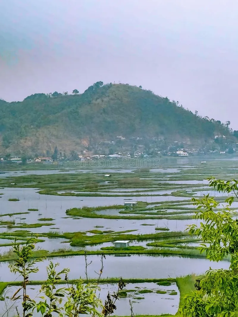 Image Imphal - Loktak Lake image beautiful image beautiful image beautiful image beautiful image beautiful image beautiful - Lamjao Stock Photos - Free & Royalty-Free Stock Photos from Dreamstime