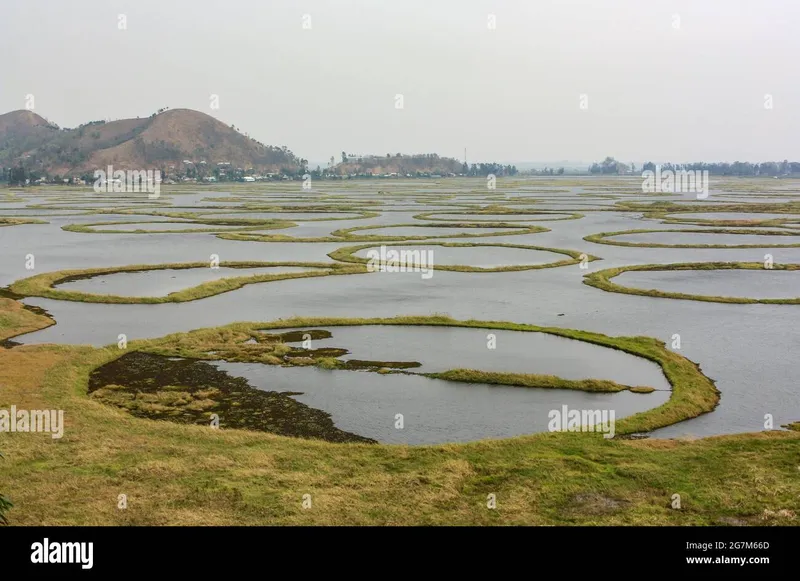 Image Imphal - Loktak Lake image beautiful image beautiful image beautiful image beautiful image beautiful image beautiful - Loktak hi-res stock photography and images - Alamy