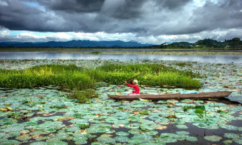 Image Imphal - Loktak Lake image beautiful image beautiful image beautiful image beautiful image beautiful image beautiful image beautiful - Nature And Wildlife – Manipur Tourism