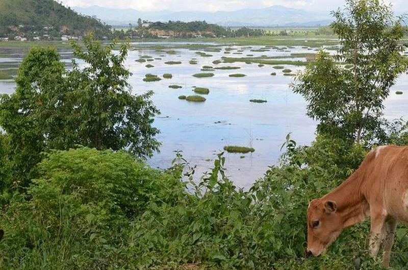 Image Imphal - Loktak Lake image beautiful image beautiful image beautiful image beautiful image beautiful image beautiful image beautiful - Valley along Tiddim Road, beauty of the rice fielding - Picture of ...