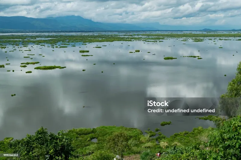 Image Imphal - Loktak Lake image beautiful image beautiful image beautiful image beautiful image beautiful image beautiful image beautiful image beautiful - Beautiful Loktak Lake View In Rainy Season At Imphal India Stock ...