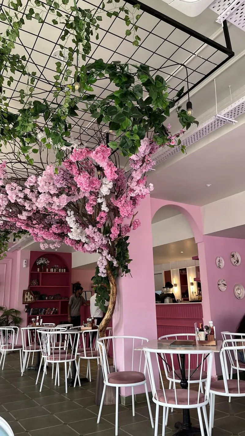 Image Jaipur - The Pink City image beautiful - Beautiful pink cafe of Pink city : The Messy door (Shipra path ...