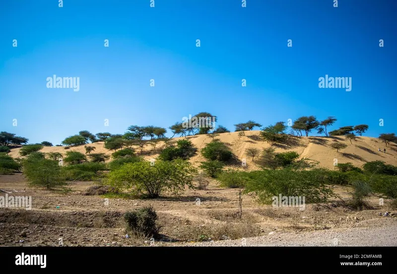 Image Jaisalmer - The Golden City image beautiful image beautiful image beautiful - Nice environment hi-res stock photography and images - Page 82 - Alamy