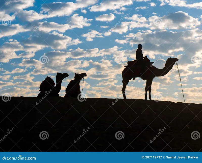 Image Jaisalmer - The Golden City image beautiful image beautiful image beautiful - Silhouette of Tourists Enjoying Camel Desert Safari with Beautiful ...