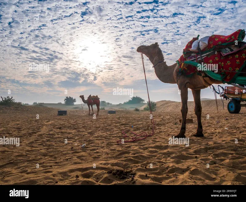 Image Jaisalmer - The Golden City image beautiful image beautiful image beautiful image beautiful - Sam sand dunes india hi-res stock photography and images - Page 6 ...