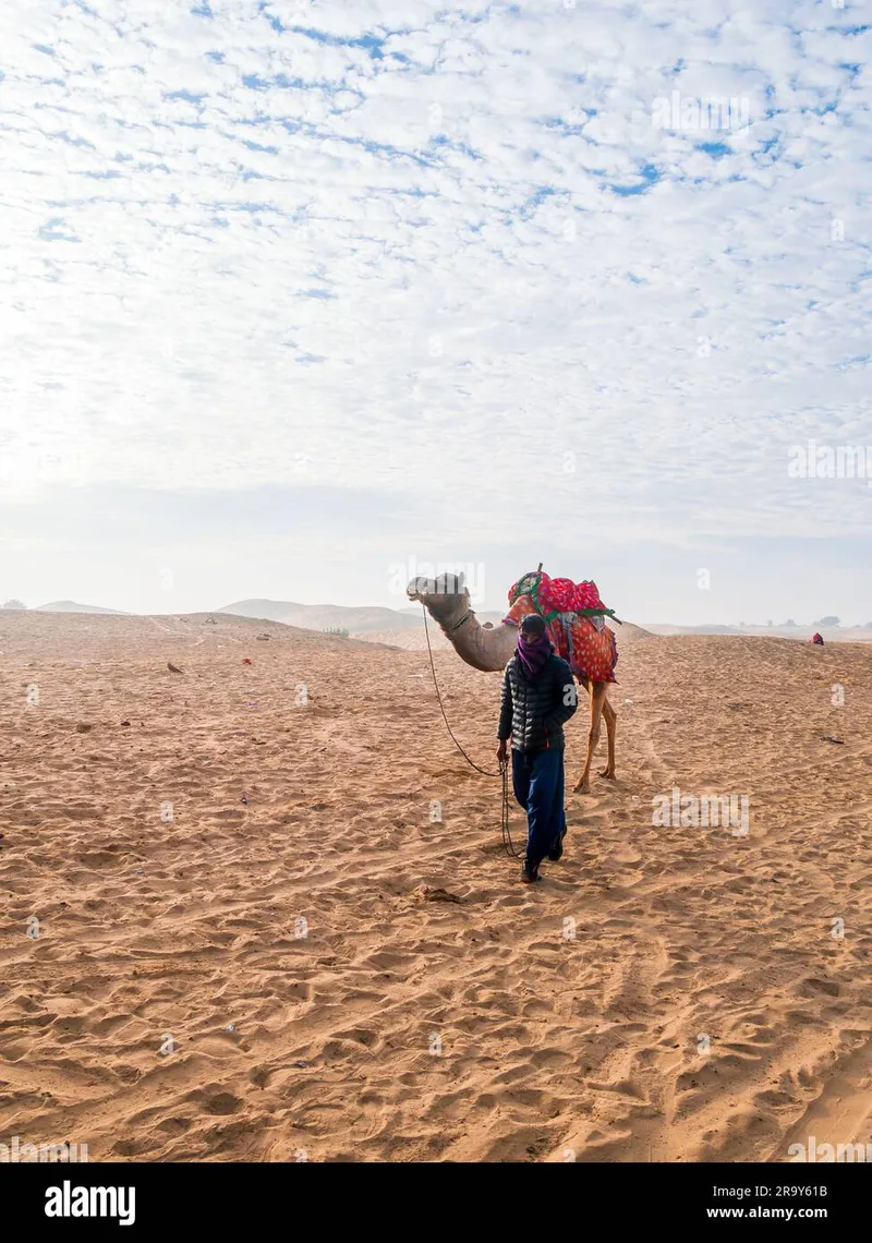 Image Jaisalmer - The Golden City image beautiful image beautiful image beautiful image beautiful image beautiful - Jaisalmer, India - December 24, 2022: Tourists enjoying camel ...