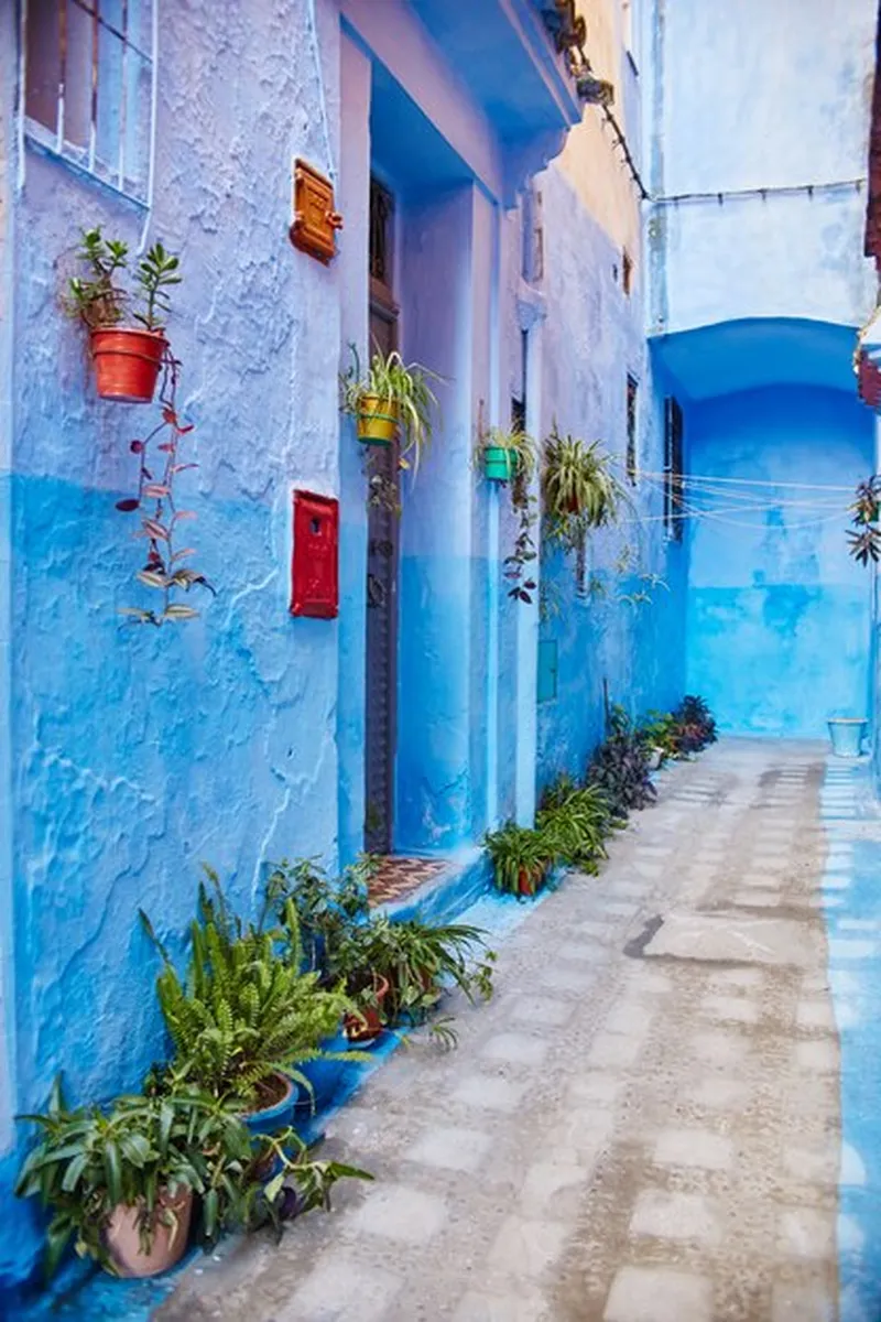 Image Jodhpur - Blue City image beautiful image beautiful image beautiful image beautiful image beautiful image beautiful image beautiful image beautiful image beautiful - Premium Photo | Morocco is the blue city of Chefchaouen, endless ...