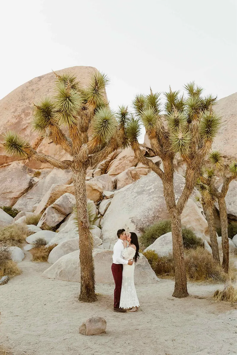 Image Joshua image beautiful image beautiful image beautiful image beautiful image beautiful image beautiful - Joshua Tree Wedding // 2024 Guide — California Elopement ...