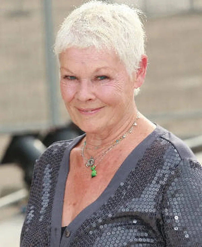 Image Judi Dench image beautiful - Let's hear it for the dames (and iron ladies) . . . | the armitage ...