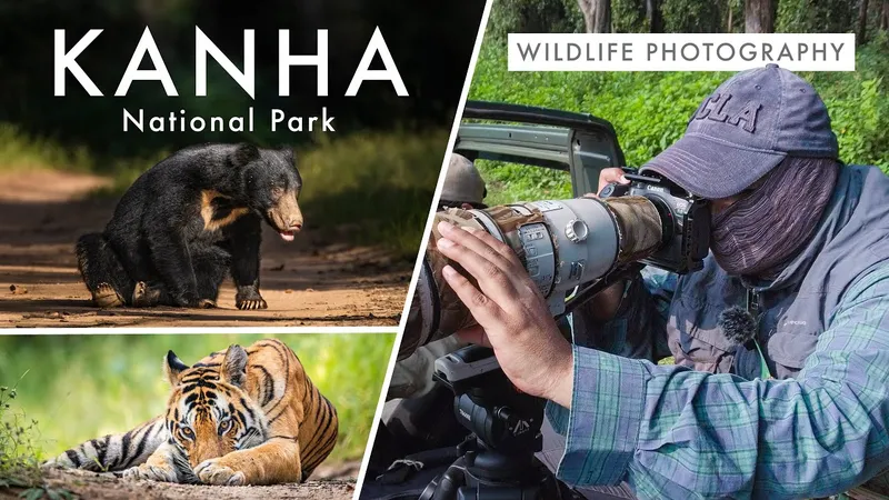 Image Kanha National Park - Tiger Reserve image beautiful - Wildlife Photography in Kanha National Park | TIGER COUNTRY Ep. 2 ...