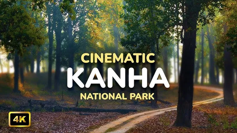 Image Kanha National Park - Wildlife Tours image beautiful image beautiful image beautiful image beautiful image beautiful image beautiful - A Cinematic Journey - Magical Kanha | Beautiful Jungle Footage ...