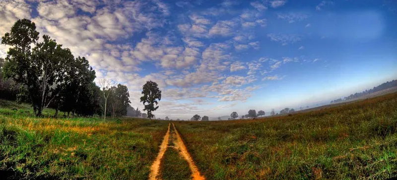 Image Kanha - Nature Trails image beautiful image beautiful image beautiful - Top Tiger Resereves In India | Kanha National Park