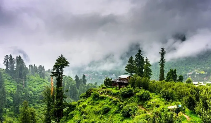 Image Kasauli - Quiet Hill Station image beautiful image beautiful image beautiful image beautiful image beautiful - Explore Kasauli Hill Stations: Adventure & Serenity - ELIVAAS