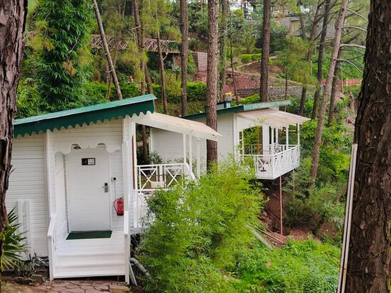 Image Kasauli - Quiet Hill Station image beautiful image beautiful image beautiful image beautiful image beautiful - THE 5 BEST Kasauli Exotic Resorts 2024 (Prices) - Tripadvisor