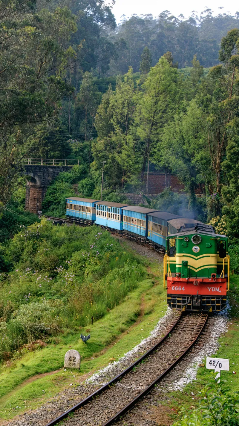 Image Kasauli - Quiet Hill Station image beautiful image beautiful image beautiful image beautiful image beautiful image beautiful image beautiful image beautiful - 10 most beautiful hill stations to visit in North India this ...