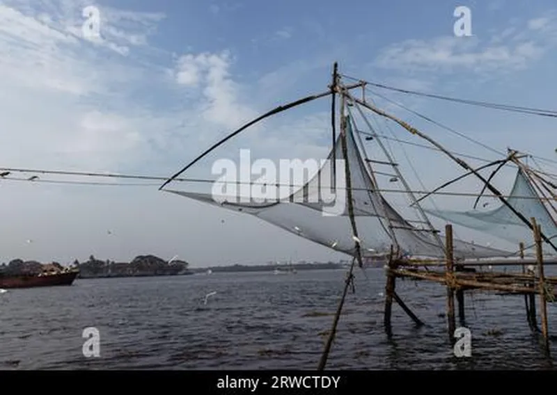 Image Kochi - Chinese Fishing Nets image beautiful image beautiful image beautiful - beautiful evening scene of Kochi chinese fishnets in Kochi, Kerala ...