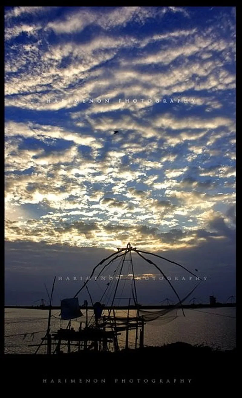 Image Kochi - Chinese Fishing Nets image beautiful image beautiful image beautiful image beautiful image beautiful image beautiful - Pin page